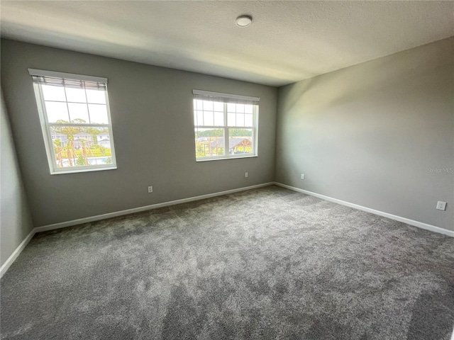 1356 Lumpini St, Saint Cloud, FL 34771 - spare room with carpet flooring