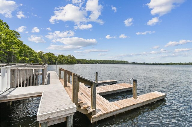 13427 Blue Heron Beach Dr Unit 404, Orlando, FL 32821 - photo 52