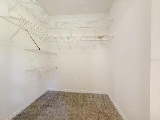 947 Bird Bay Ct Unit 205, Lake Mary, FL 32746 - photo 11