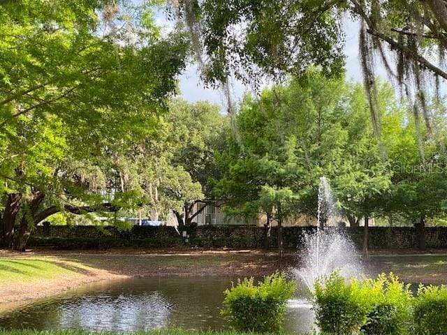 5370 Diplomat Ct Unit 107, Kissimmee, FL 34746 - water view