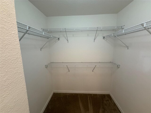 436 Hammerstone Ave, Haines City, FL 33844 - spacious closet featuring carpet