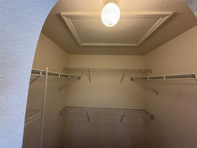 436 Hammerstone Ave, Haines City, FL 33844 - view of spacious closet