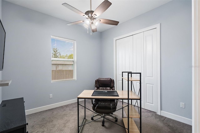 3244 55th Ave N, Saint Petersburg, FL 33714 - photo 16