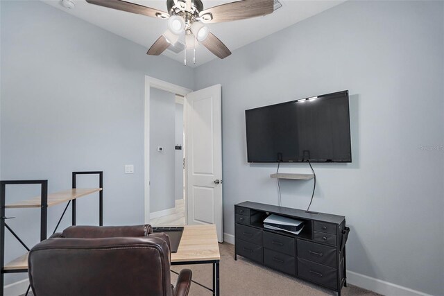 3244 55th Ave N, Saint Petersburg, FL 33714 - photo 17