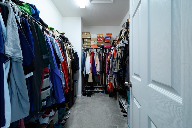 978 E 10th St, Apopka, FL 32703 - spacious closet with carpet