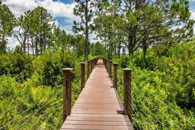 9253 Tibet Pointe Cir, Windermere, FL 34786 - view of surrounding community
