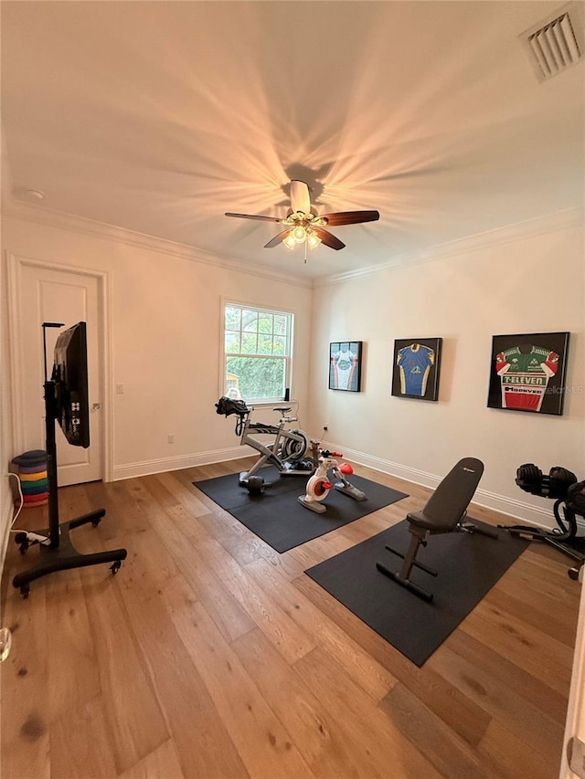 4309 W Beachway Dr, Tampa, FL 33609 - workout room featuring a ceiling fan, wood finished floors, ornamental molding, and baseboards