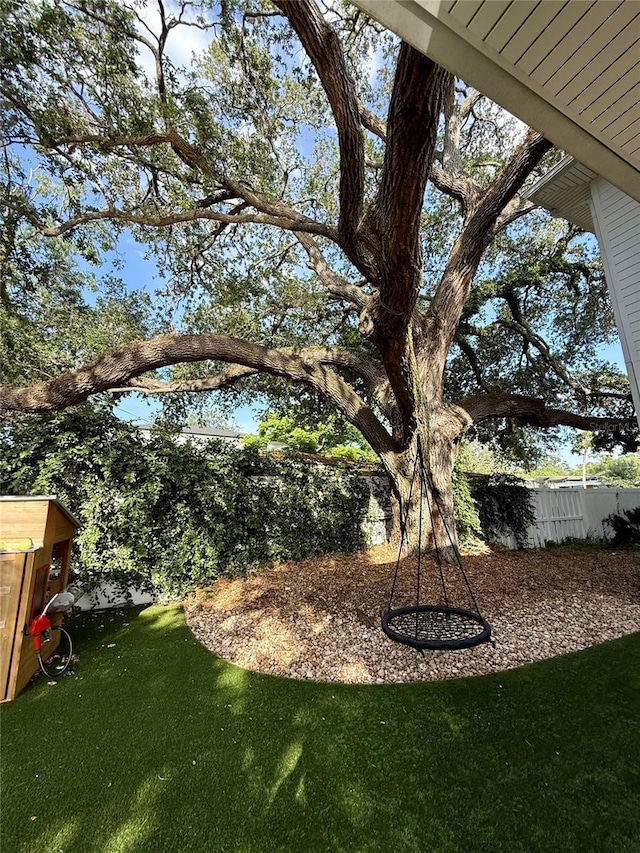 4309 W Beachway Dr, Tampa, FL 33609 - view of yard