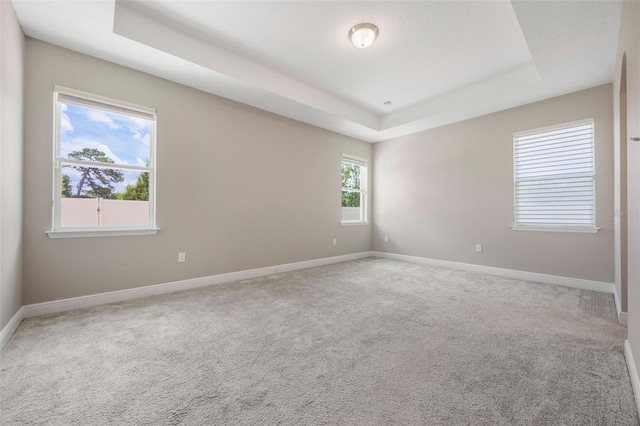 1740 Standing Rock Cir, Oakland, FL 34787 - carpeted spare room with a tray ceiling and baseboards