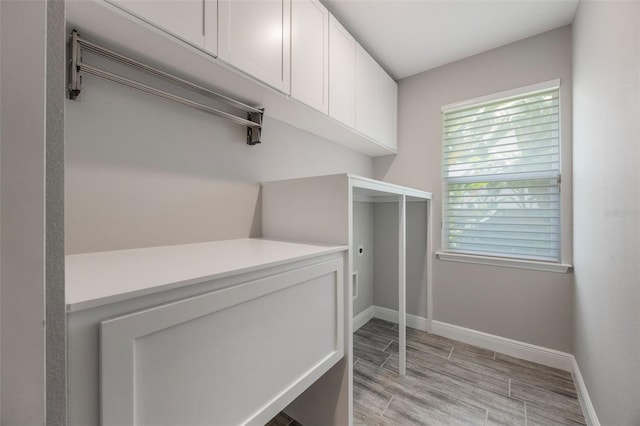 1740 Standing Rock Cir, Oakland, FL 34787 - spacious closet with light wood-type flooring