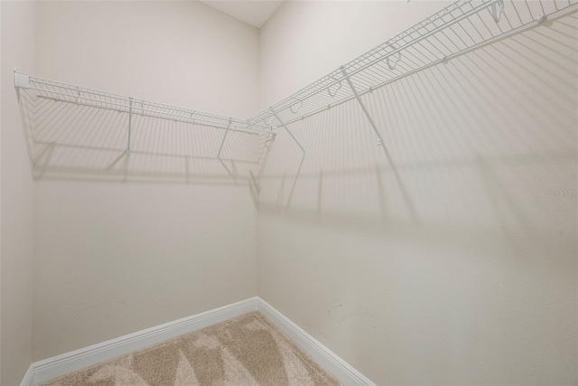 1740 Standing Rock Cir, Oakland, FL 34787 - walk in closet featuring carpet