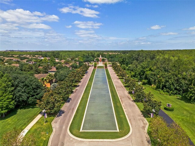 15647 Braintree Ln, Winter Garden, FL 34787 - bird's eye view of a forest