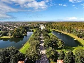 15647 Braintree Ln, Winter Garden, FL 34787 - bird's eye view of a large body of water and a forest