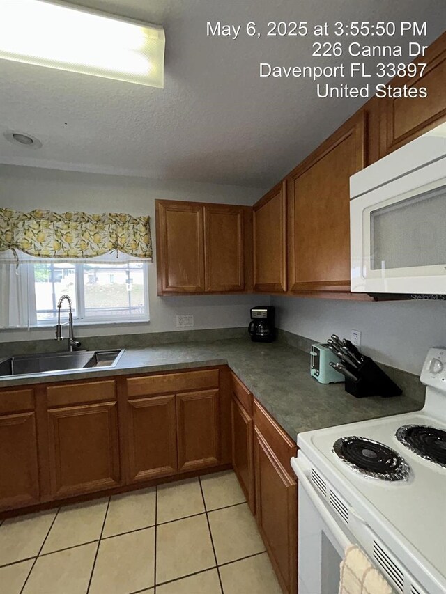 226 Canna Dr, Davenport, FL 33897 - photo 3