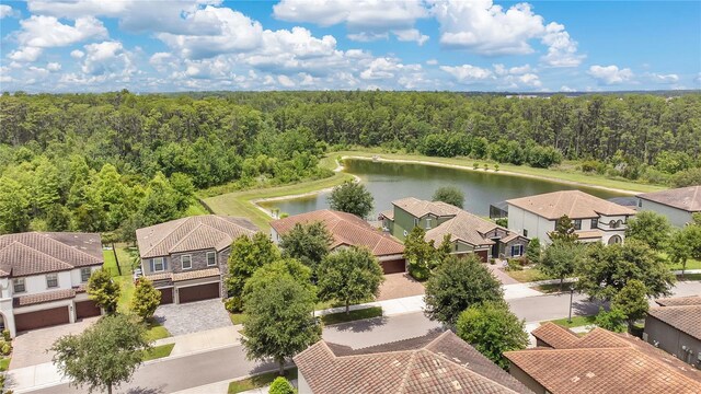 12784 Burns Dr, Odessa, FL 33556 - photo 37