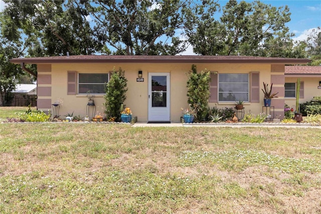 4549 Tippecanoe Trl Unit 20, Sarasota, FL 34233 - ranch-style home with a front yard and stucco siding