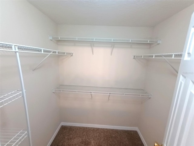 2555 Palmetto Ridge Cir, Apopka, FL 32712 - spacious closet with carpet