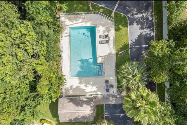 11239 Cedar Hollow Ln, Tampa, FL 33618 - photo 22