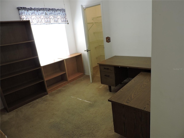384 Newton Pl, Longwood, FL 32779 - photo 22