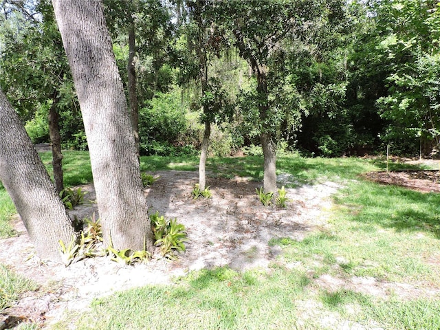 384 Newton Pl, Longwood, FL 32779 - photo 30