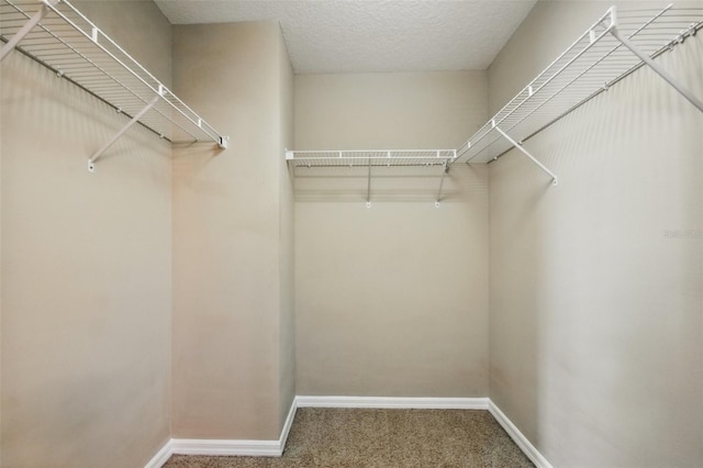 2674 Spicebush Loop, Apopka, FL 32712 - walk in closet featuring carpet floors