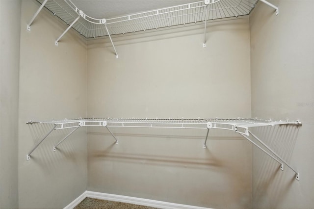 2674 Spicebush Loop, Apopka, FL 32712 - view of spacious closet