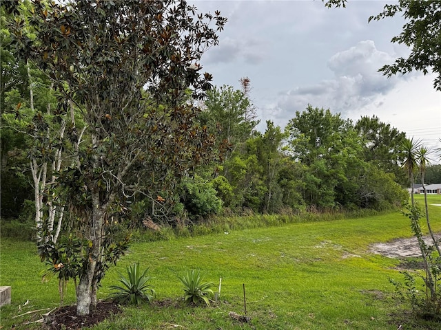 1639 Corner Meadow Cir, Orlando, FL 32820 - photo 27