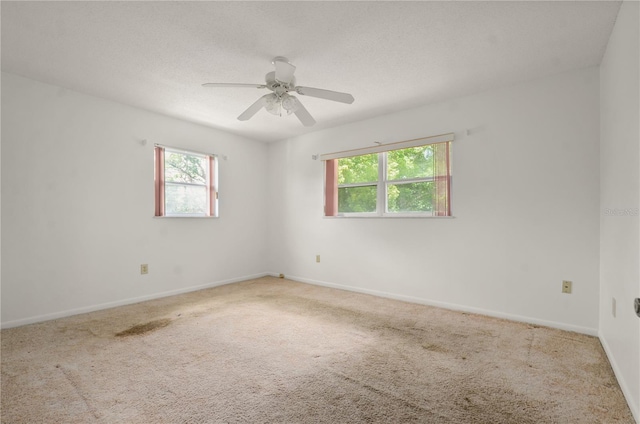 6416 Jackwood Ct, Orlando, FL 32818 - photo 15