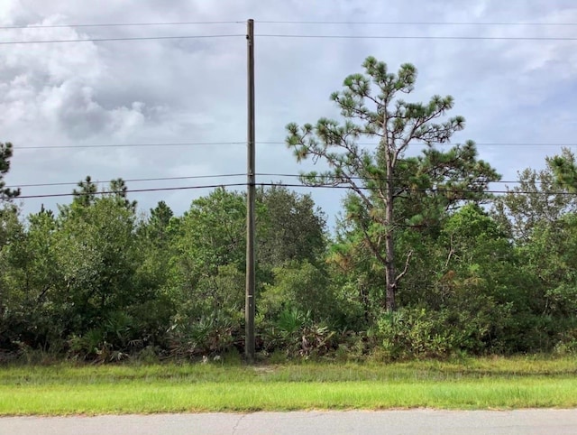 Oberly Pkwy, Orlando, FL 32833 - photo 1