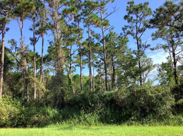 Quinella St, Orlando, FL 32833 - photo 1