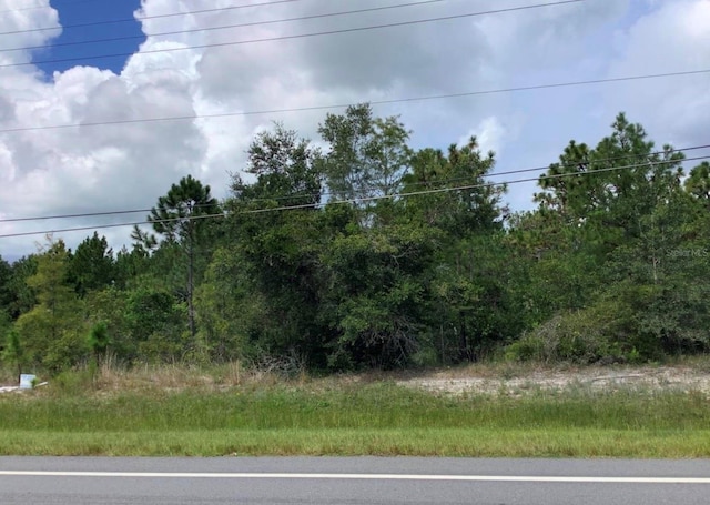 Dallas Blvd, Orlando, FL 32833 - photo 1