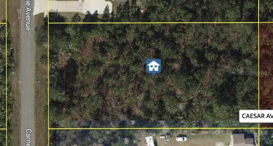 Carnegie Ave, Orlando, FL 32833 - photo 1
