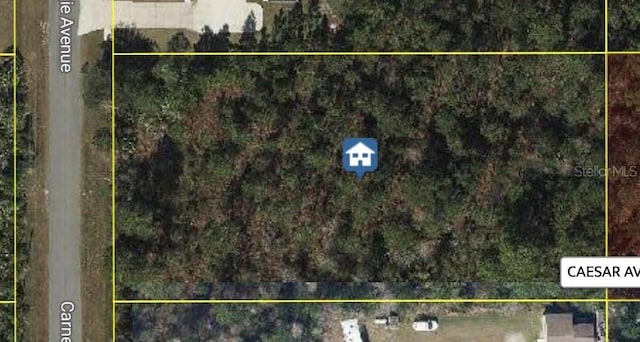 Carnegie Ave, Orlando, FL 32833 - photo 1