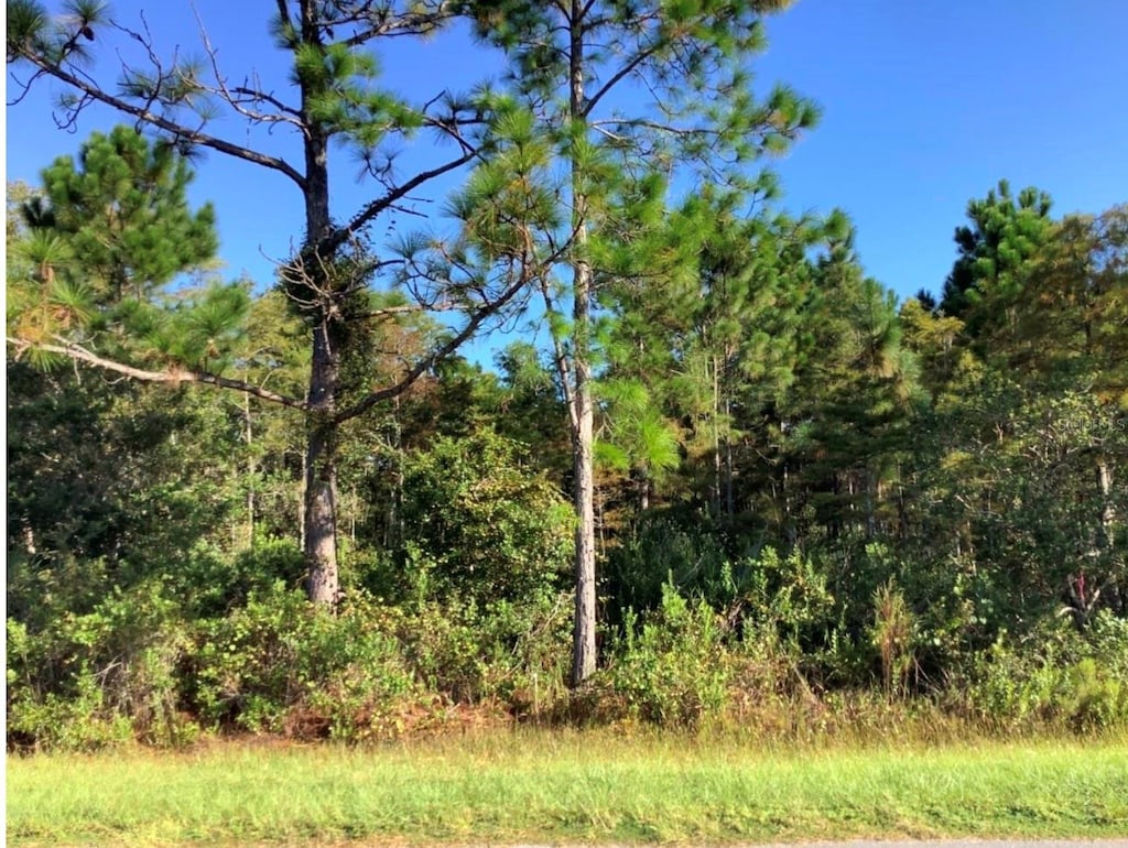 Ralston St, Orlando, FL 32833 - photo 1