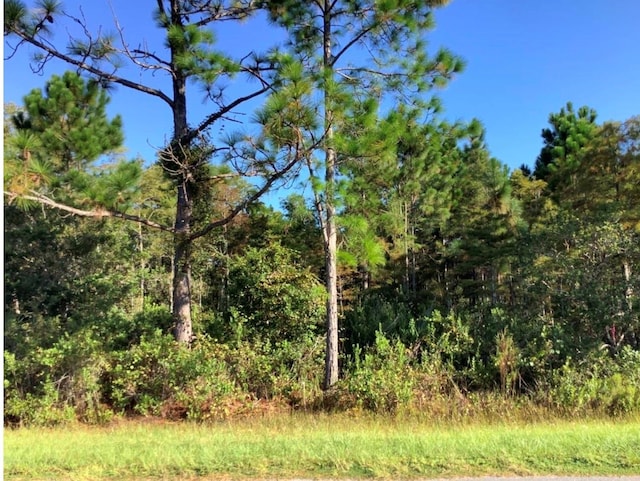 Ralston St, Orlando, FL 32833 - photo 1