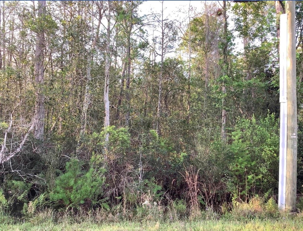 20828 Quinlan St, Orlando, FL 32833 - photo 1