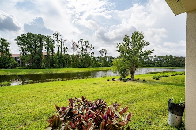 4952 Longmeadow Park St, Orlando, FL 32811 - view of green lawn featuring a water view