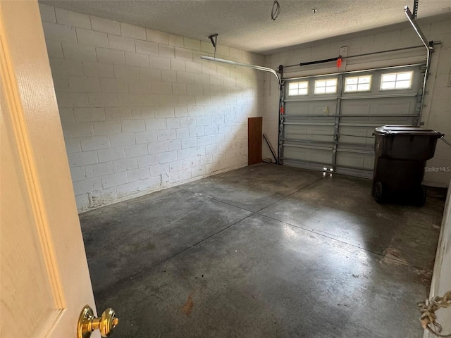 2018 Cypress Bay Blvd, Kissimmee, FL 34743 - garage with concrete block wall