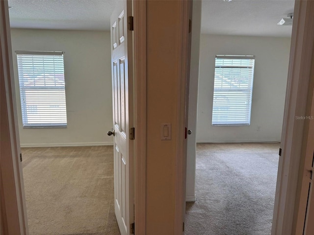 2018 Cypress Bay Blvd, Kissimmee, FL 34743 - hallway with carpet floors and baseboards