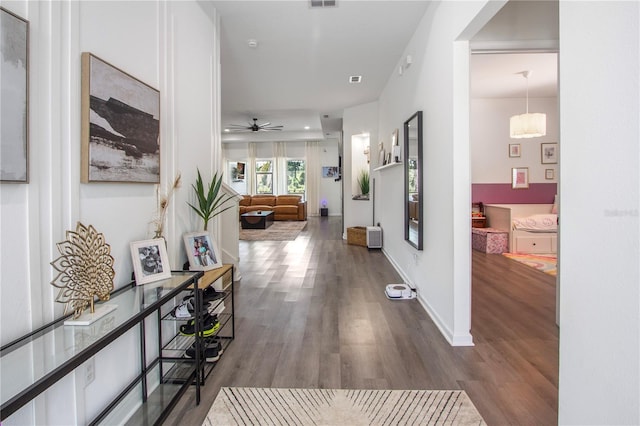 95353 Orchid Blossom Trl, Fernandina Beach, FL 32034 - hallway featuring wood finished floors
