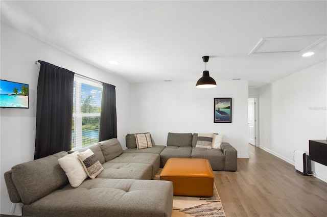 95353 Orchid Blossom Trl, Fernandina Beach, FL 32034 - living area featuring attic access, wood finished floors, recessed lighting, and baseboards