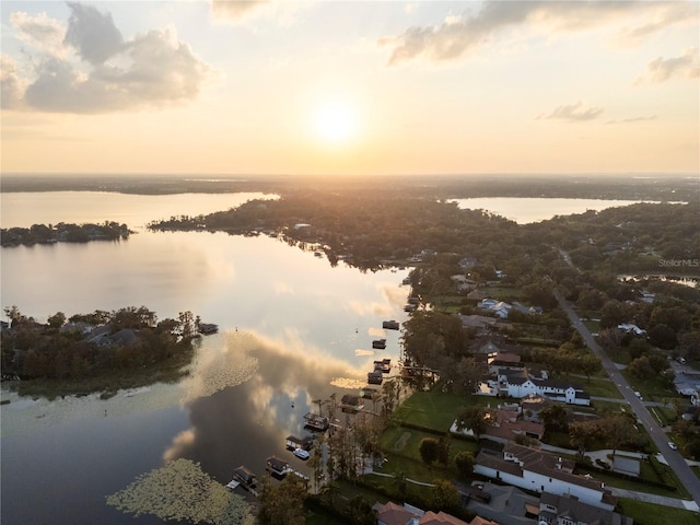 11018 Lake Butler Blvd, Windermere, FL 34786 - water view