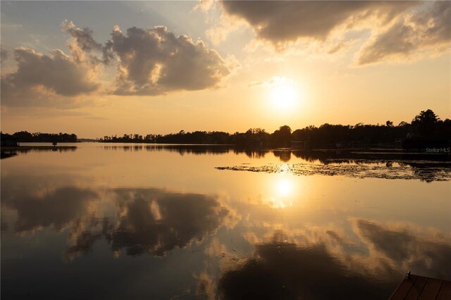 11018 Lake Butler Blvd, Windermere, FL 34786 - water view