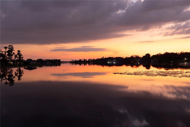 11018 Lake Butler Blvd, Windermere, FL 34786 - water view