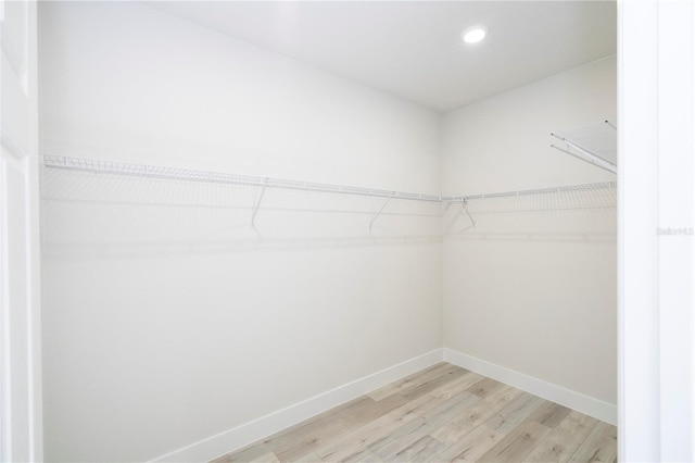 10333 N Halsey Way, Citrus Springs, FL 34434 - walk in closet with light wood-style floors