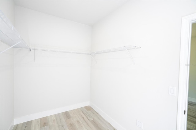 10333 N Halsey Way, Citrus Springs, FL 34434 - walk in closet featuring light wood finished floors