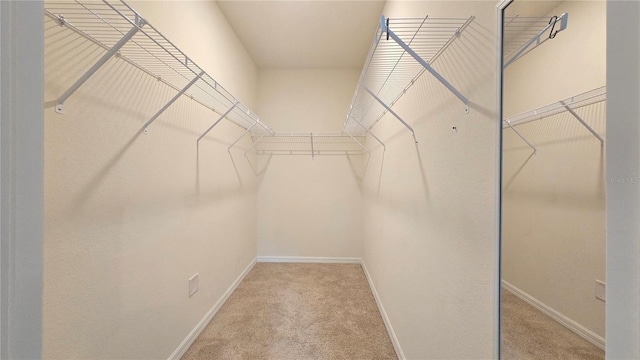 3202 Timber Hawk Cir, Ocoee, FL 34761 - walk in closet featuring carpet