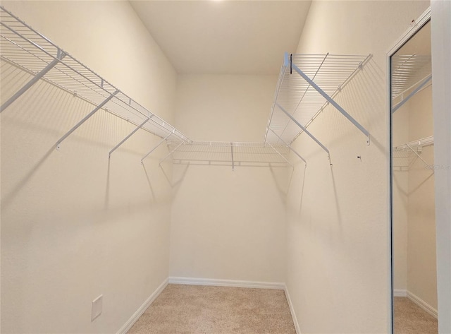 3202 Timber Hawk Cir, Ocoee, FL 34761 - spacious closet with light carpet