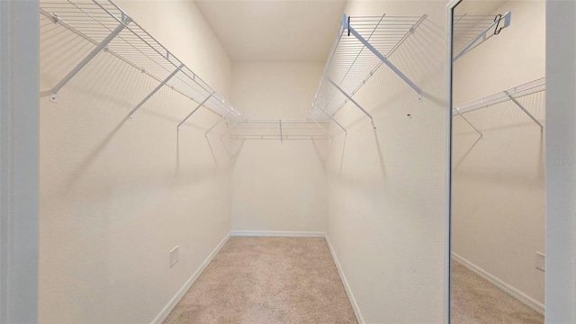 3202 Timber Hawk Cir, Ocoee, FL 34761 - walk in closet featuring carpet flooring