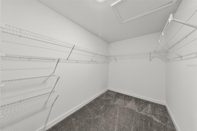 3124 Addison Blvd, Saint Cloud, FL 34771 - photo 14